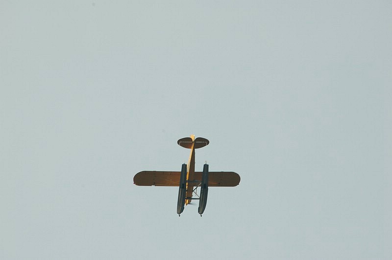 DSC_0311.JPG