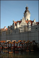 DSC_0096.JPG