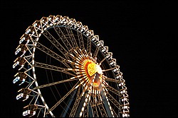DSC_0105.JPG