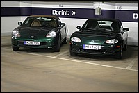 IMG_0499.jpg