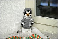 IMG_0531.jpg