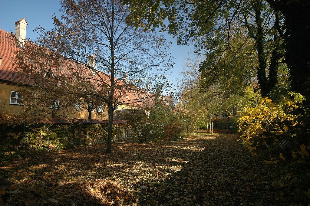 DSC_0086.JPG