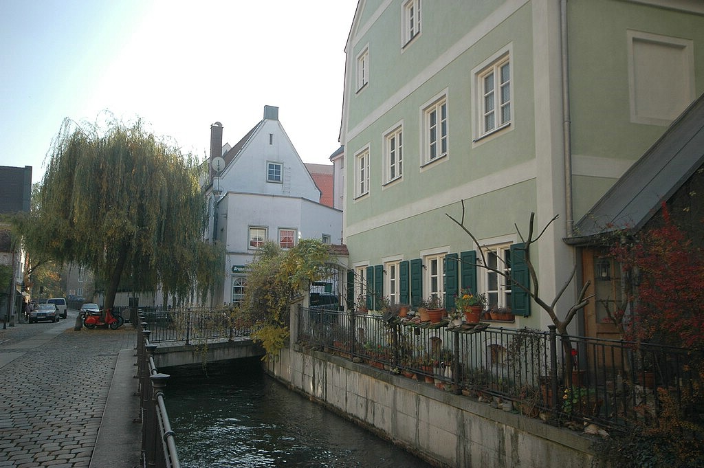 DSC_0110.JPG