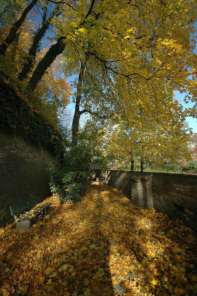 DSC_0118.JPG