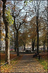 DSC_0032.JPG