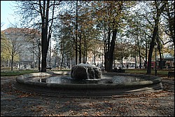 DSC_0036.JPG