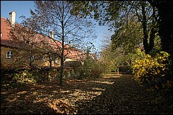 DSC_0086.JPG