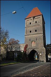 DSC_0106.JPG
