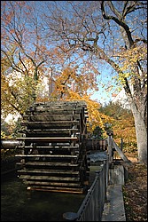 DSC_0109.JPG