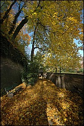 DSC_0118.JPG