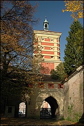 DSC_0130.JPG