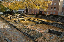 DSC_0172.JPG