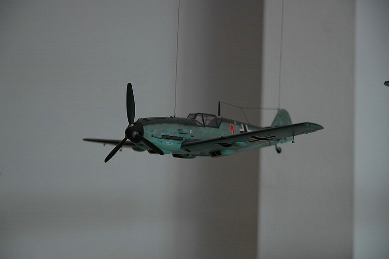 DSC_0253.JPG