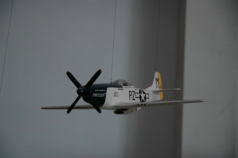 DSC_0255.JPG