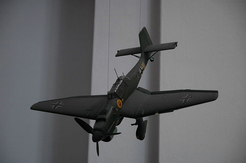 DSC_0256.JPG