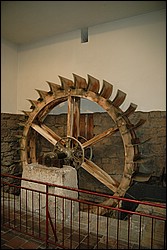 DSC_0043.JPG