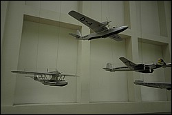 DSC_0234.JPG