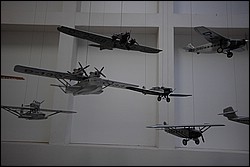 DSC_0237.JPG