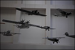 DSC_0238.JPG