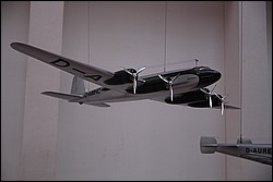 DSC_0247.JPG