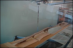 DSC_0307.JPG