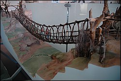 DSC_0312.JPG