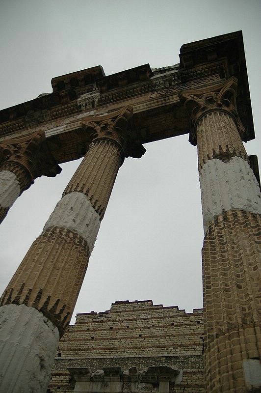 DSC_0043.jpg