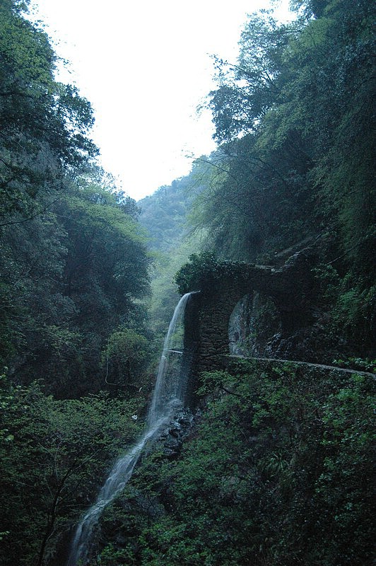 DSC_0107.JPG