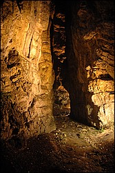 DSC_0125.JPG