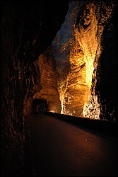 DSC_0131.JPG