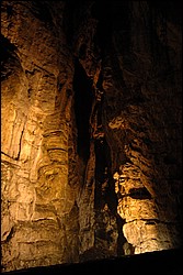 DSC_0136.JPG