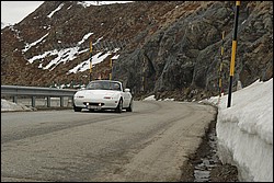 DSC_0176.JPG