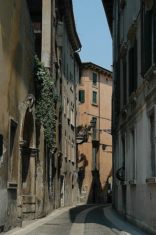 DSC_0080.JPG