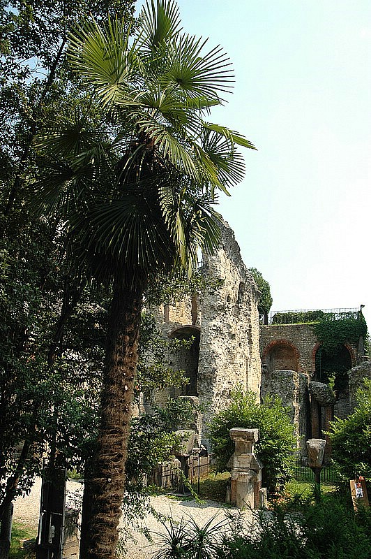DSC_0093.JPG