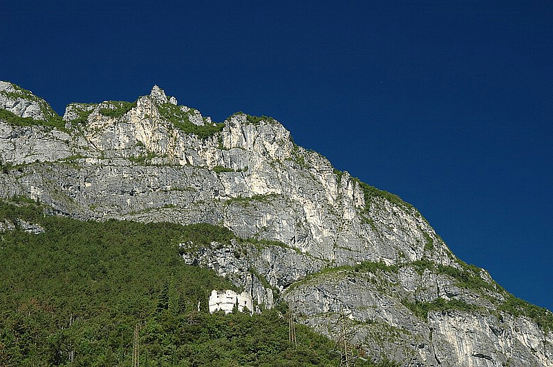 DSC_0341.JPG
