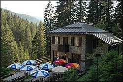 DSC_0009.JPG