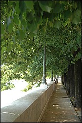 DSC_0085.JPG