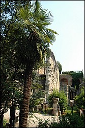 DSC_0093.JPG