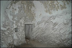 DSC_0220.JPG