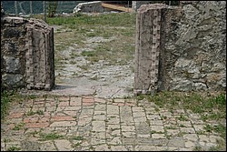 DSC_0225.JPG