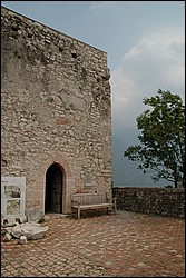 DSC_0230.JPG