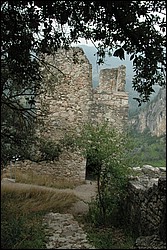 DSC_0246.JPG