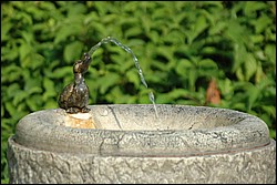 DSC_0320.JPG