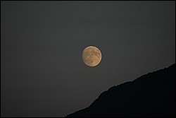 DSC_0416.JPG