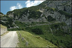 DSC_0426.JPG