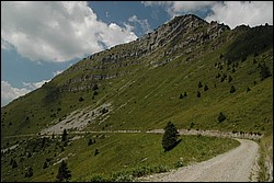 DSC_0427.JPG