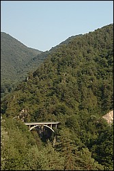 DSC_0450.JPG