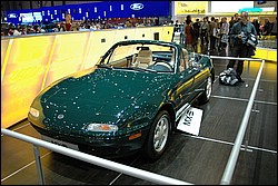 DSC_0130.JPG