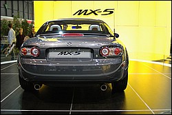 DSC_0135.JPG
