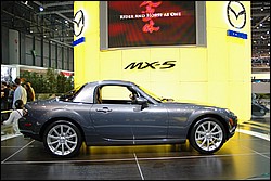 DSC_0137.JPG